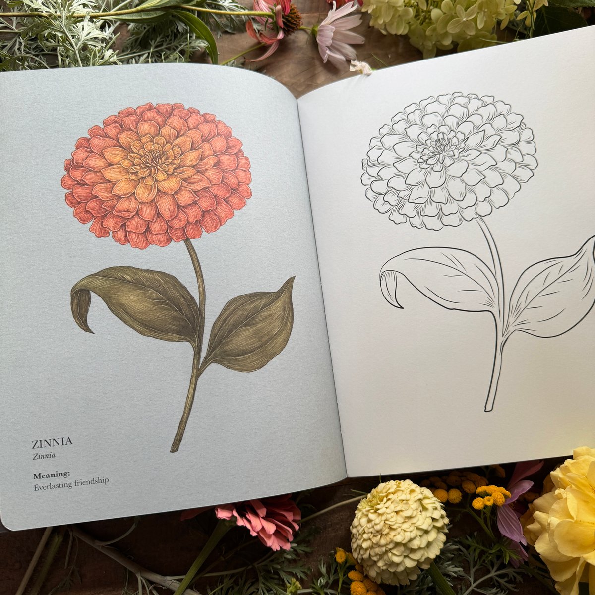 The Floriography Coloring Book (Signed Copy) | Jessica Roux